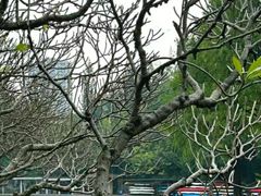 -晓港公园