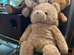 -咖法森林·咖啡  酒吧(天河店)