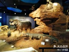 -扬州科技馆