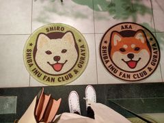 -柴务处·柴犬主题狗咖