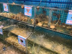 水产区-范饭椰林川湘味海鲜·椰子鸡(三亚湾椰梦长廊店)