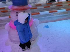 -宁波冰雪大世界(北仑区)