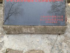 -上海佘山国家森林公园天马山园