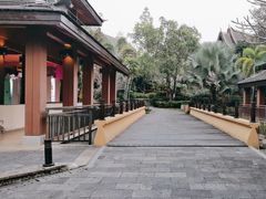 -西双版纳洲际度假酒店-曼霖轩中餐厅