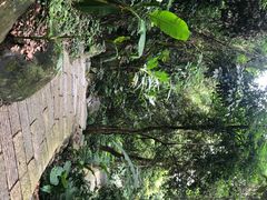 -福清灵石山国家森林公园