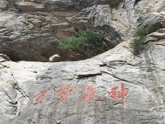 -陕西省红河谷森林公园