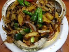 鲍鱼-悉尼鱼市场