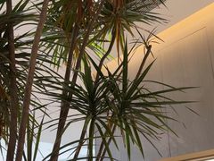 -卡朋西餐(宝安大仟里店)