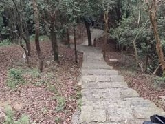 -阳台山森林公园