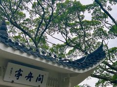 -江心屿景区