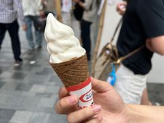 -富豪雪糕车流动点(尖沙咀店)