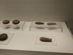 -南越王博物院(王宫展区)
