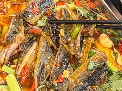 -蛙兔鸡自贡风味·特色江湖菜(广都店)