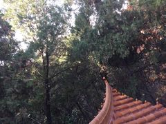 -云龙山