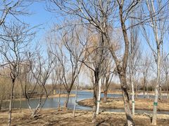 -东郊湿地公园