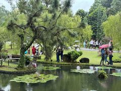 -新加坡总统府