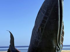 -烟台金沙滩海滨公园