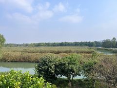 -西溪国家湿地公园