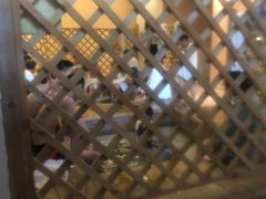 -中家鑫园温泉酒店鑫悦汤泉