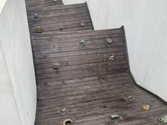 -中国福利会少年宫