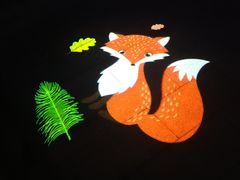 景点-南宫五洲植物乐园