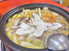 -菌之家·专业纯野生菌火锅·特色炒菌