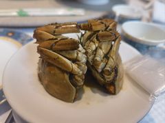 -卫鼎轩·曹公馆(鼓楼店)