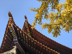 -宝通禅寺