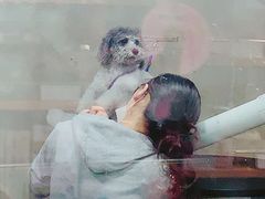 -PETKIT小佩宠物(昭化店)