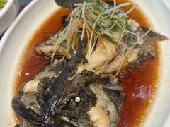 -普天和酒楼·新津菜·烤鸭(天津之眼店)