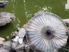 -深圳国际园林花卉博览园