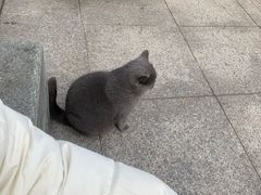 -孤山景区-孤山寺