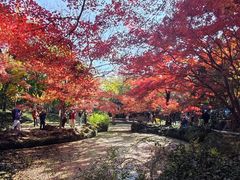 -闵行文化公园-停车场