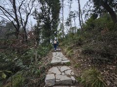 -青龙山国家森林公园