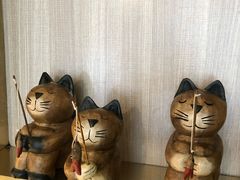 -飞行喵MR PILOT|猫舍·猫咖(静安大融城店)