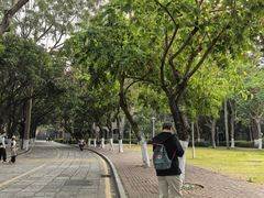 -厦门大学(思明校区)