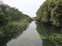 -同里国家湿地公园