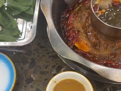 -金鼎雪山牦牛杂火锅(理县总店)