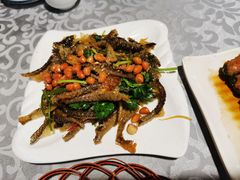 凉拌鱼皮-十三姨工厨顺德美食·宴会·团餐(天河北路店)
