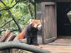 -云南野生动物园