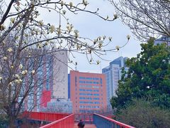 -西安创业咖啡街区
