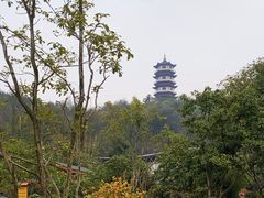 -山湖温泉