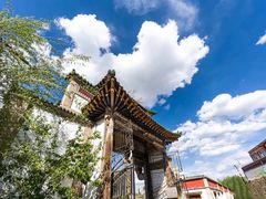 -塔尔寺-菩提树