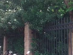 -泰州凤城河风景区-泰山公园