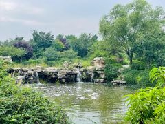 -石家庄市植物园