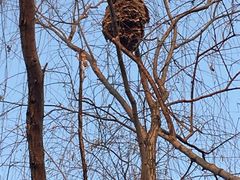 -华山御温泉度假村