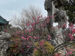 -无锡梅园公园