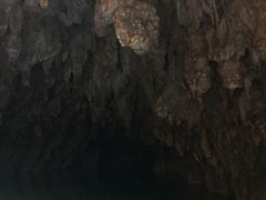 景点-怀托摩萤火虫洞