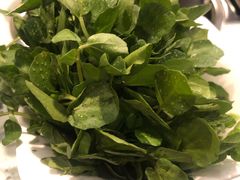 西洋菜-烹然四季椰子鸡火锅(团结湖总店)