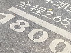 -海珠湖公园
